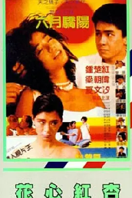 日本性hd