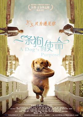小妈妈2：叔叔的女人们