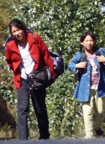 一起草cad免费观看在线视频方法