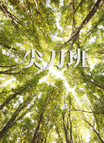 色综合a