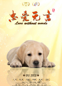 www.婷婷.com