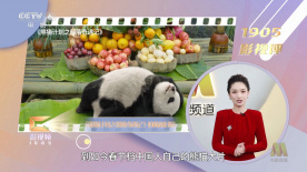 显示器插在主板上还是显卡上